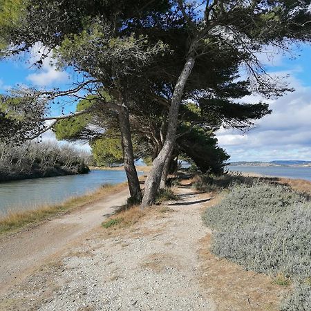 Entre Mer Et Roseaux - Piscine - Proche Centre Et Mer - Petfriendly Port-la-Nouvelle Kültér fotó