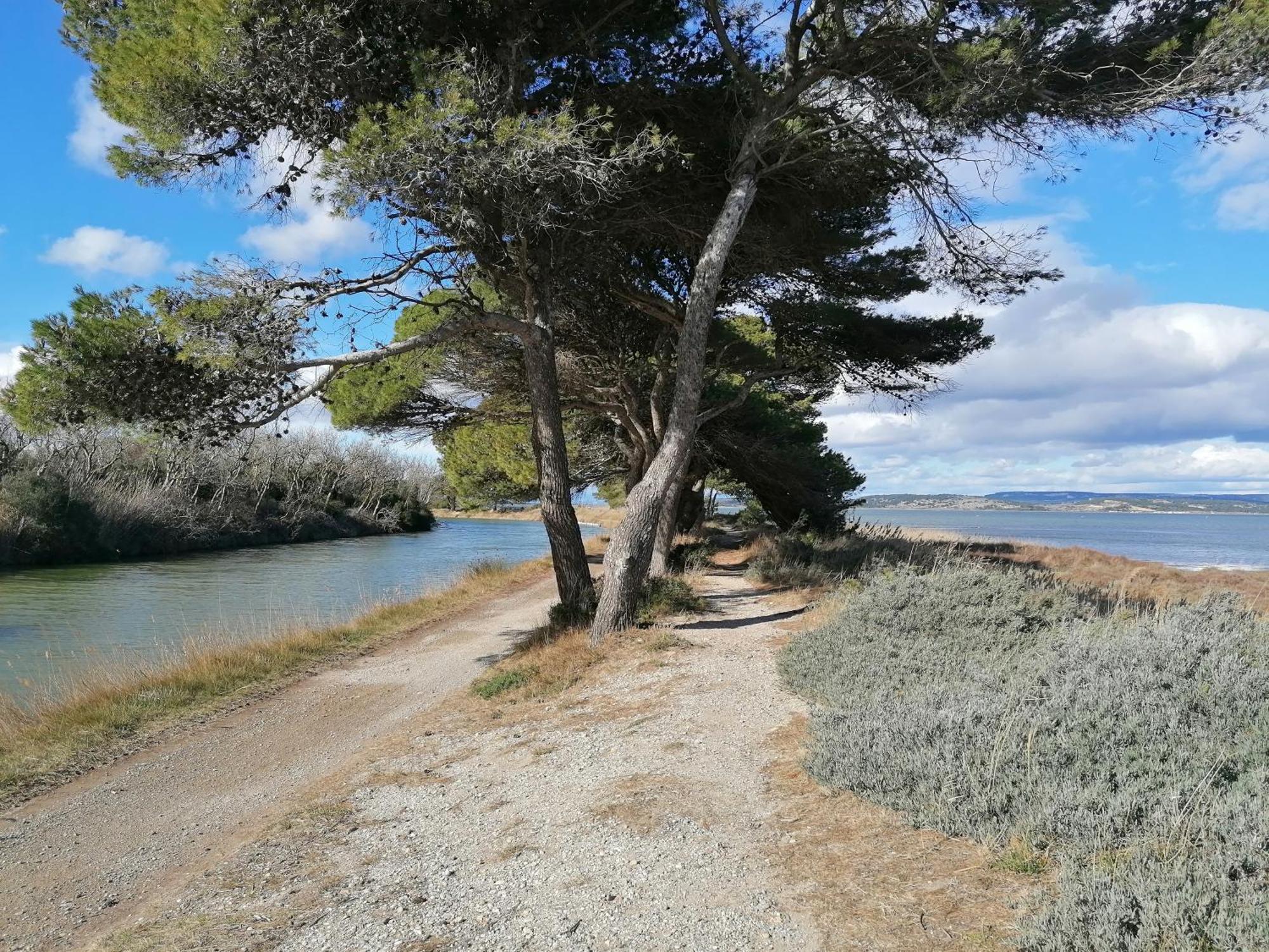 Entre Mer Et Roseaux - Piscine - Proche Centre Et Mer - Petfriendly Port-la-Nouvelle Kültér fotó